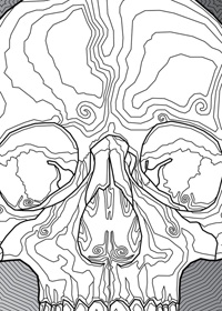 human skull v.1